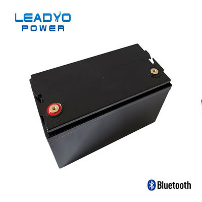 Plastik-Screwable Kasten LEADYO BMS Marine Lifepo 4 Batterie-12V 100amp