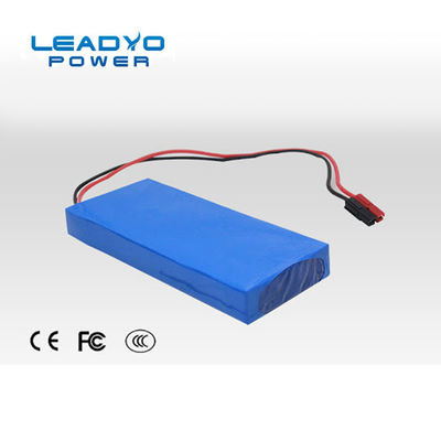 Lithium Ion Iron Phosphate Battery Customized 24V 10Ah mit RS485