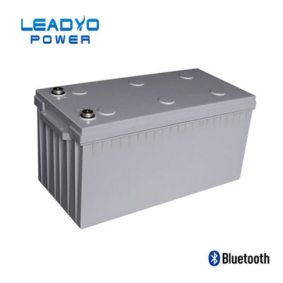 Lithium-Batterie-Selbsterhitzung Marine Low Temperatures LiFePO4 Batterie-24V 100AH